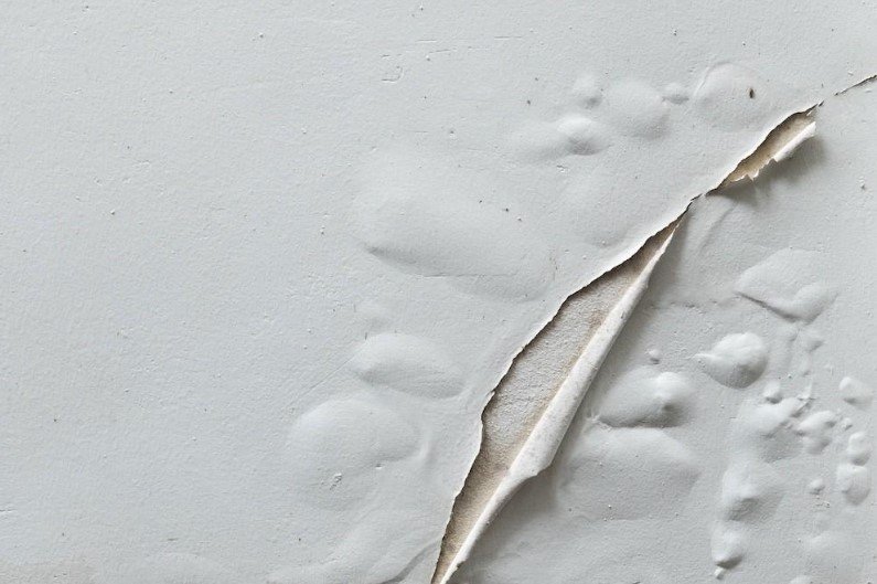 Bubbling and peeling paint on an interior wall